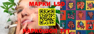 шишки Кандалакша