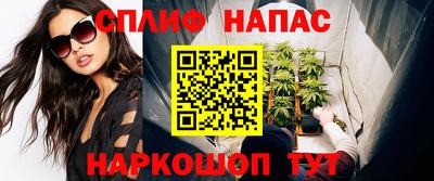 шишки Кандалакша