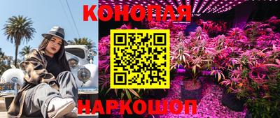 скорость Канаш