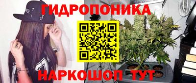 шишки Кандалакша