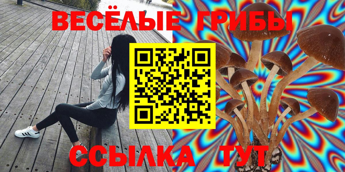 Галлюциногенные грибы мухоморы Лосино-Петровский